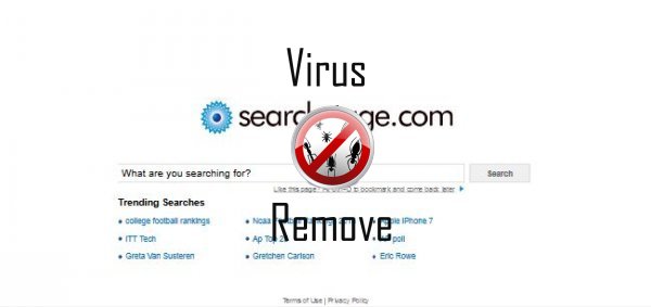 searchstage.com