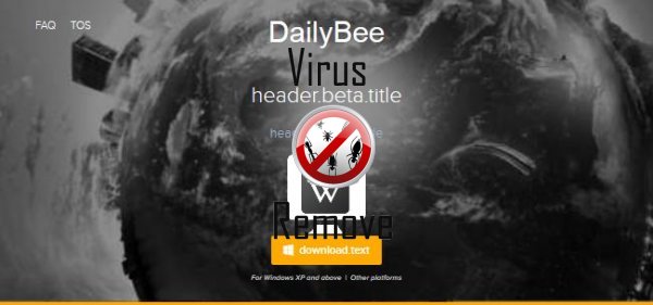 dailybee