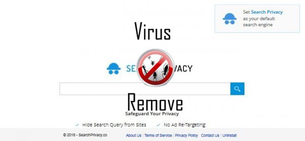 searchprivacy1.co 