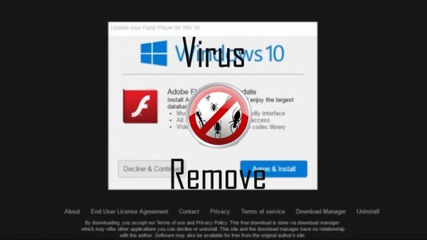update your flash player for win 10