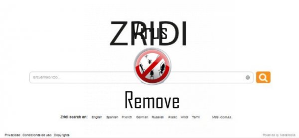 zridi.net