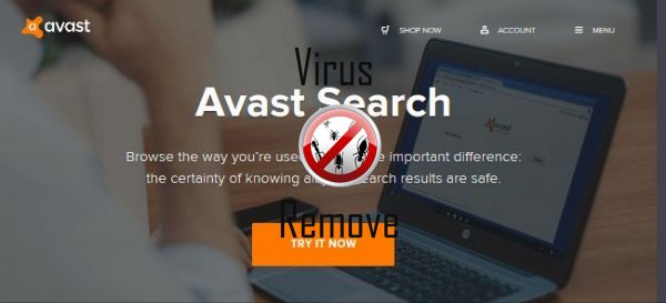 avast search