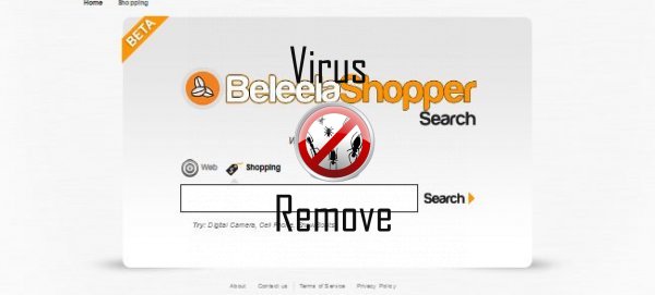 beleelashoppersearch.com 