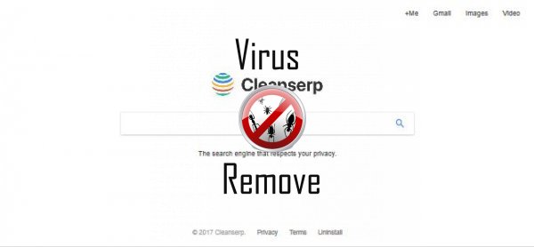 cleanserp.net