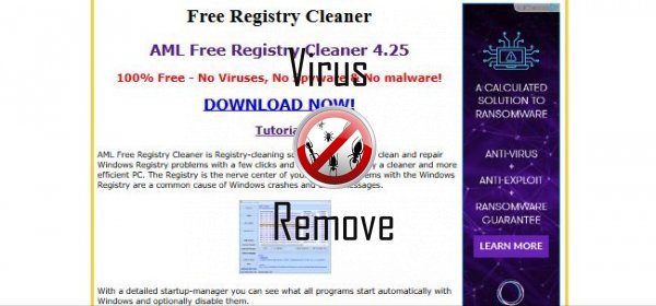 aml free registry cleaner 