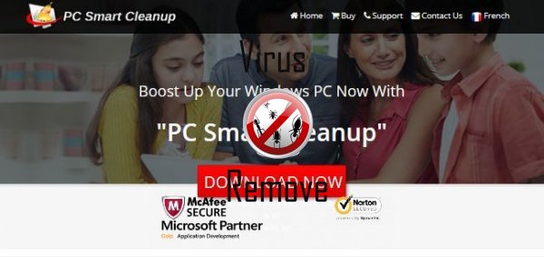 pc smart cleanup 