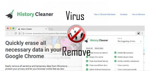 history cleaner
